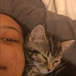 Meet your Posher, Talya